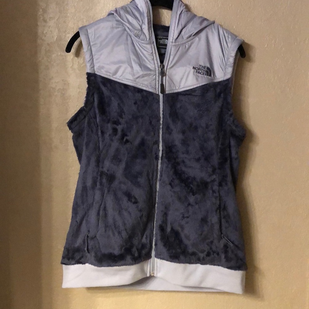 The North Face Blue Gray Vest